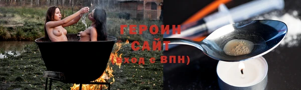 гидра Богородск