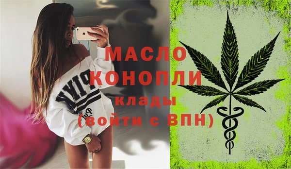 гидра Богородск
