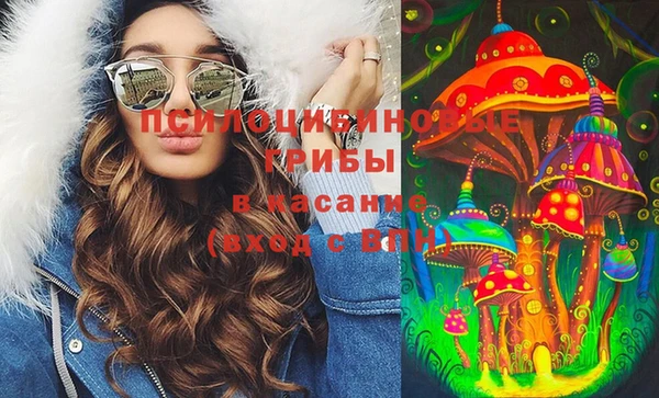 дурь Богородицк
