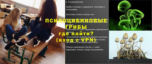 a pvp Белокуриха
