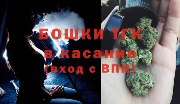 стафф Богданович
