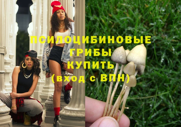 гашик Беломорск